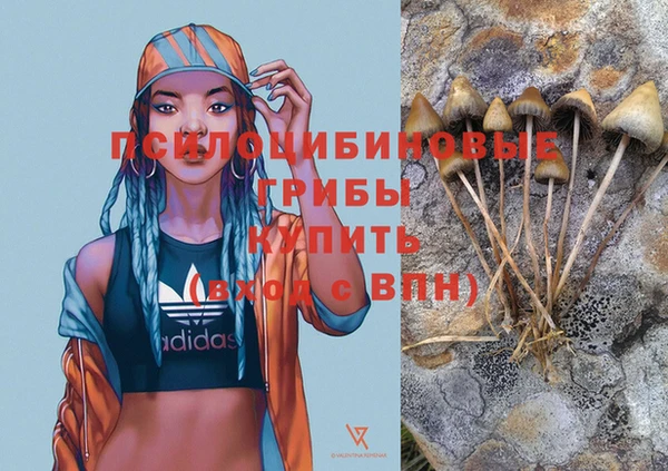 стафф Навашино