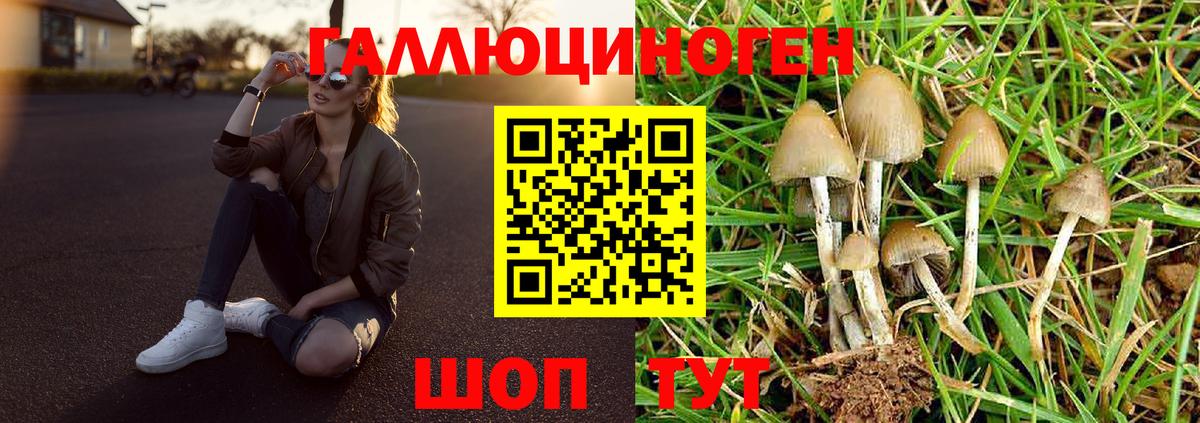 Галлюциногенные грибы Cubensis Нижний Тагил