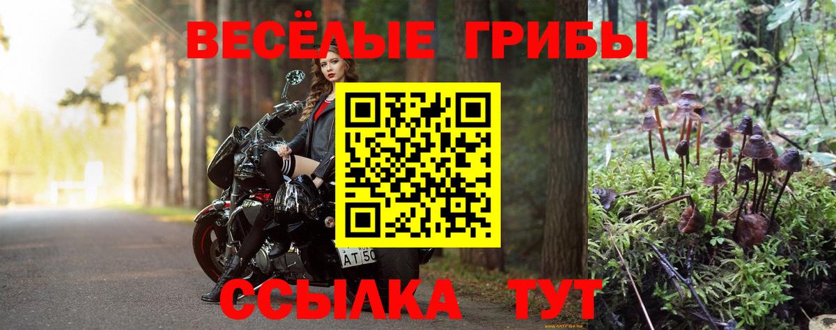 Галлюциногенные грибы мицелий  Вход с VPN  хочу   Нижний Тагил 